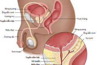 TIẾN BỘ  TRONG ĐIỀU TRỊ NỘI KHOA  UNG THƯ TIỀN LIỆT TUYẾN